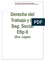 Derecho Del Trabajo y La Seg Efip II - SIl Lagos