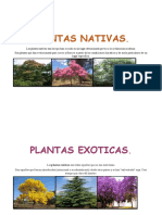 PLANTAS NATIVAS y Exoticas