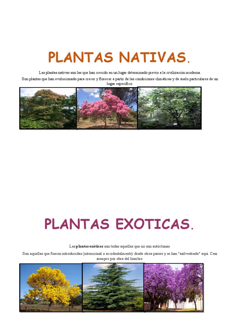 qué intelligence overview