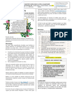 Guia 1 Halime Artística 8°