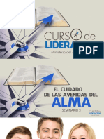 Seminario3 Cuidando Avenidas Del Alma