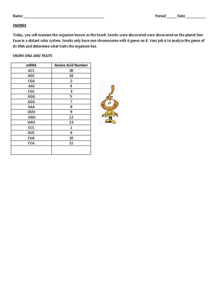 Snork DNA 1 PDF Code Nucleic Acid Sequence