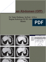 Kuliah Blok GI Tract CT Scan Abdomen Agustus 2010