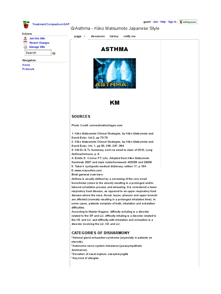 Asthma Kiiko Matsumoto Japanese Style PDF Respiratory Tract Asthma