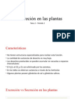 La Excreción en Las Plantas: Tema 2 - Periodo 2