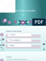 Sistema Cardiovascular