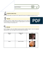 Module 2 - The Metaplasmic Materials in Cells