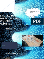 Proyecto Es Didáctica Del Cálculo Mate