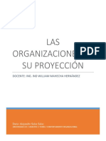 Las Organizaciones Con Proyección