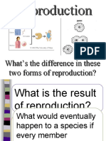 Reproduction: What's The Difference in These Two Forms of Reproduction?