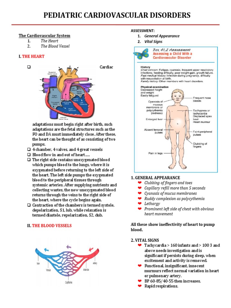 Pediatric Cardiovascular Disorders Overview | PDF | Congenital Heart ...