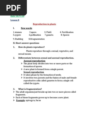 Reproduction In Plants Pdf Reproduction Flowers