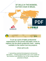 Biodiesel Partnership Proposal in Brazil PDF