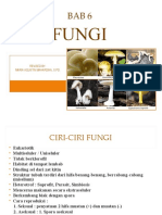 Bab 6 Fungi (Jamur)