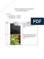 Budidaya Tanaman Tomat Rampai (Solanum Pimpinellifolium) (Laporan Pratikum Minggu Ke-6)