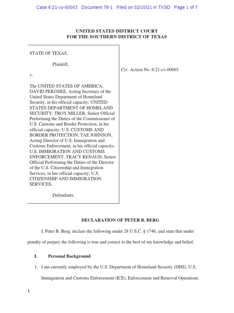 Peter Berg's Declaration on ICE Operations | PDF | U.S. Immigration And ...