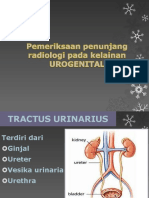 2. Pemeriksaan Penunjanhg Radiologi Pada Kelainan Urogenital