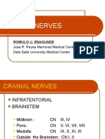 Cranial Nerves: Romulo U. Esagunde