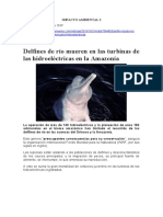 3.-_03.11.2019_Delfines_de_rio_mueren_en_las_turbinas_de_las_hidroelectricas_en_la_Amazonia-convertido