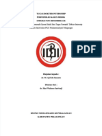 PDF Portofolio SNH Dredo