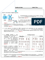 Ficha de Trabalho Nº1