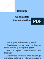 Curs V Helmin+úi generalit-â+úi