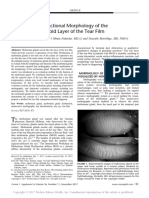 Functional Morphology of The Lipid Layer of The Tear Film