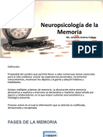 Neuropsicología de La Memoria