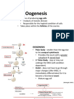 DEVBIOLAB_Oogensis