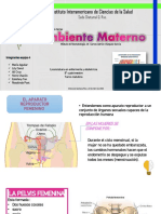 Ambiente materno