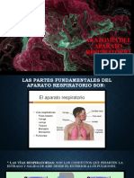 Anatomía Del Aparato Respiratorio (1)