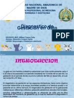 pdf-presentacion-sobre-el-proceso-administrativo_compress