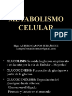 Metabol Celular