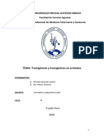 Transgénesis y Transgénicos en Animales.docx 1