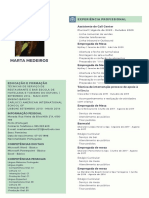 Verde e Cinza Sistemas Analista Tecnologia Currículo