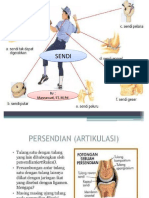 SENDI: Jenis dan Fungsi Sendi dalam Tubuh Manusia