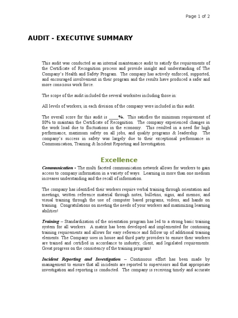 Audit Executive Summary PDF Audit Occupational Safety And Health