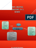 Convulsion Neonatal Mapa y Flujograma