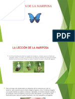 La Lección de La Mariposa 1