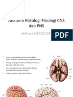 Anatomi Histologi Fisiologi CNS Dan PNS