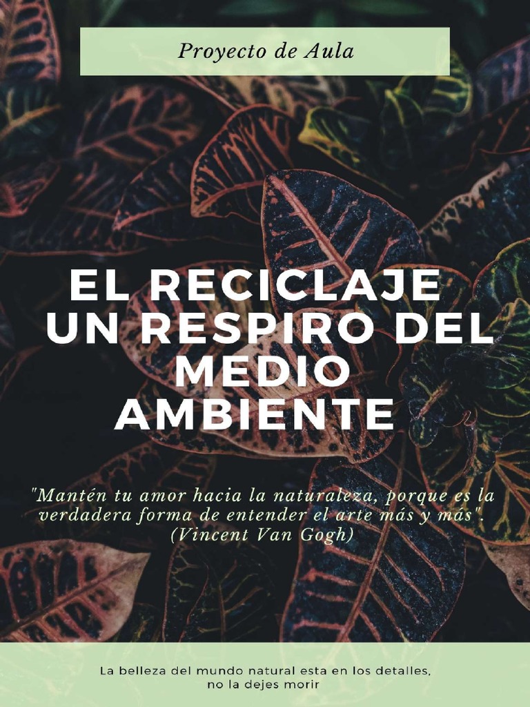 Proyecto de Aula, Reciclaje, Un Respiro Del Medio Ambiente | PDF ...