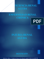 Insuficiencia Renal Aguda Cronica