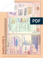 954 Cell: Other Antiviral Lopinavir-Ritonavir RT-PCR, NAAT, CRISPR-based