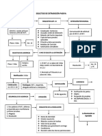 Esquema de Extradicion