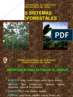 SISTEMAS AGROFORESTALES 2005