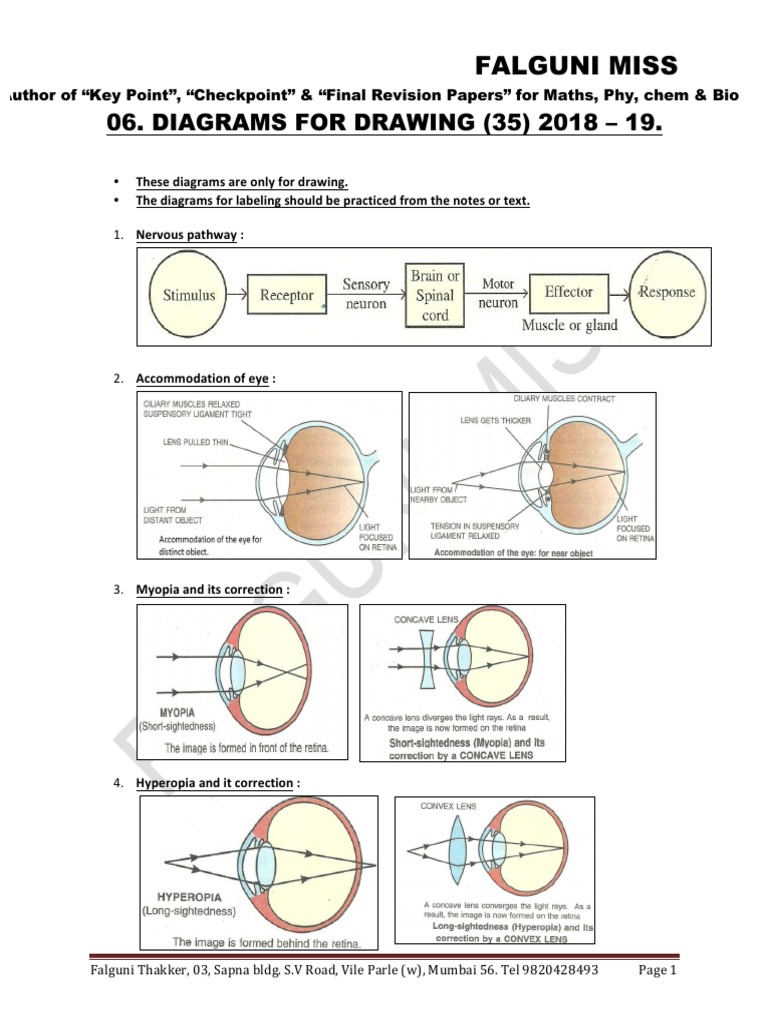 Z - Bio 35 Diagrams 2018 - 19 | PDF | Biology | Anatomy