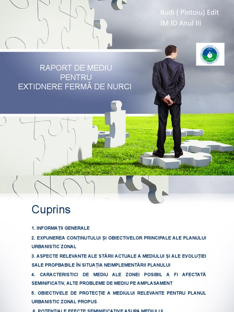 Proiect EIM | PDF