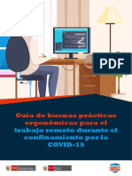 Guia de Buenas Practicas Ergonomicas