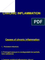 Inflammation - 3rd - Slide - File - PDF Filename - UTF-8''inflammation 3rd Slide File