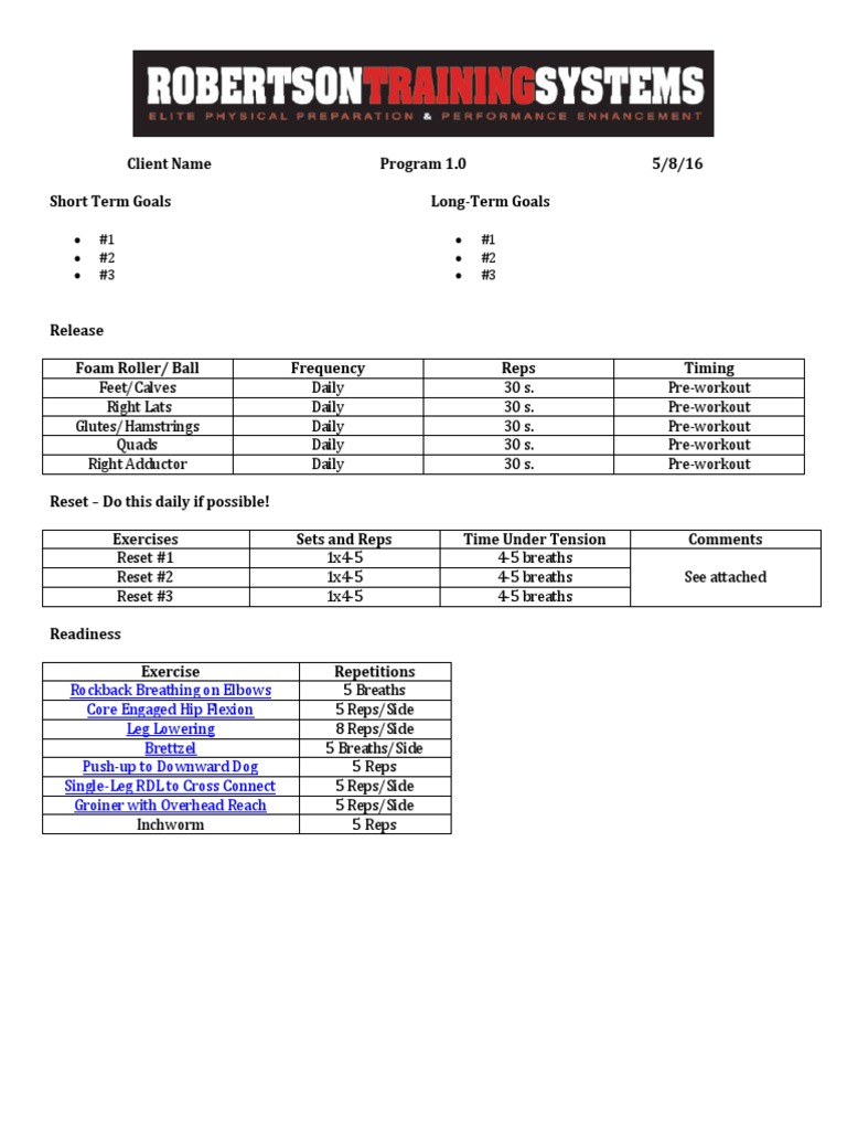 ISSA Everyday Athlete Program Guide | PDF | Strength Training | Dance ...